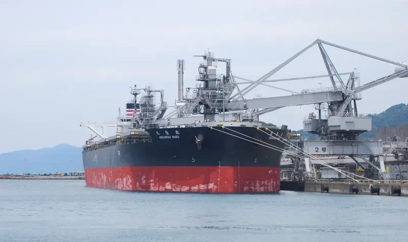 HOKURIKU MARU Bulk Carrier IMO 9658939