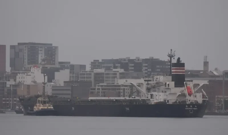 HOKURIKU MARU Bulk Carrier IMO 9658939 photo 2