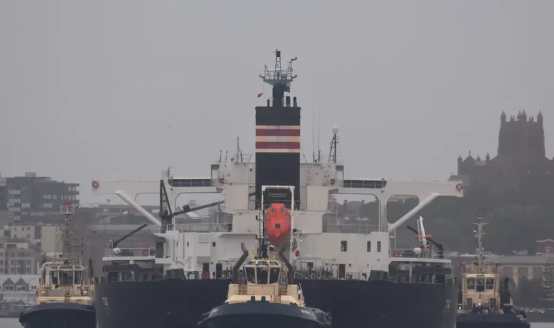 HOKURIKU MARU Bulk Carrier IMO 9658939 photo 3