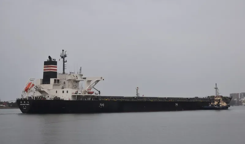 HOKURIKU MARU Bulk Carrier IMO 9658939 photo 4