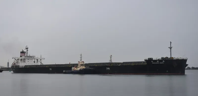 HOKURIKU MARU Bulk Carrier IMO 9658939 photo 5