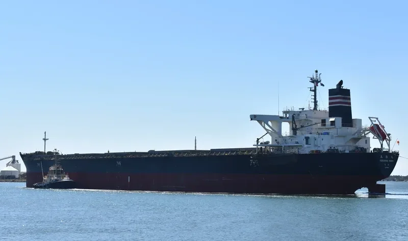 HOKURIKU MARU Bulk Carrier IMO 9658939 photo 9