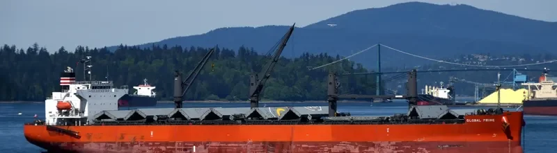 GLOBAL PRIME Bulk Carrier IMO 9658941 photo 20