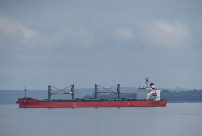 GLOBAL PRIME Bulk Carrier IMO 9658941 photo 29