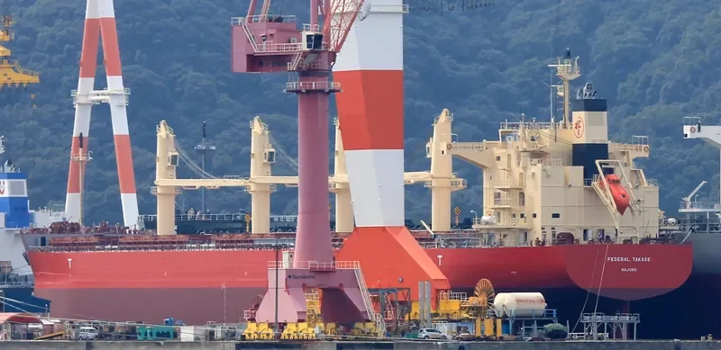 FEDERAL TAKASE Bulk Carrier IMO 9658989