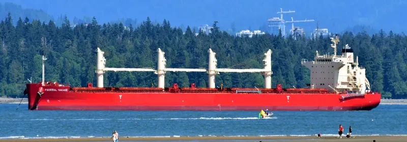 FEDERAL TAKASE Bulk Carrier IMO 9658989 photo 10