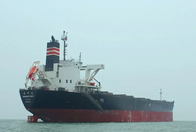 HARAMACHI MARU Bulk Carrier IMO 9658991 photo 3