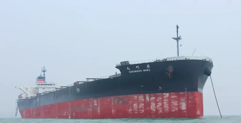 HARAMACHI MARU Bulk Carrier IMO 9658991 photo 4