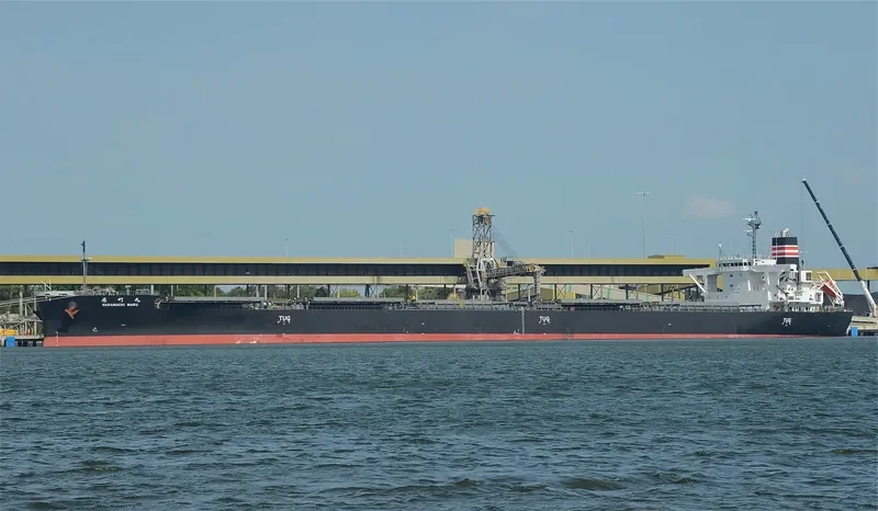 HARAMACHI MARU Bulk Carrier IMO 9658991 photo 5