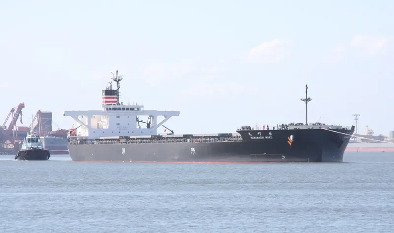 HARAMACHI MARU Bulk Carrier IMO 9658991 photo 6