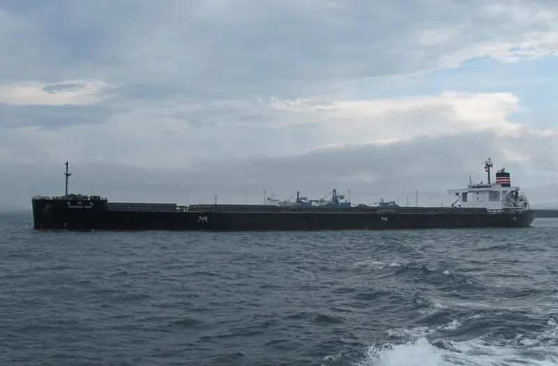 HARAMACHI MARU Bulk Carrier IMO 9658991 photo 7