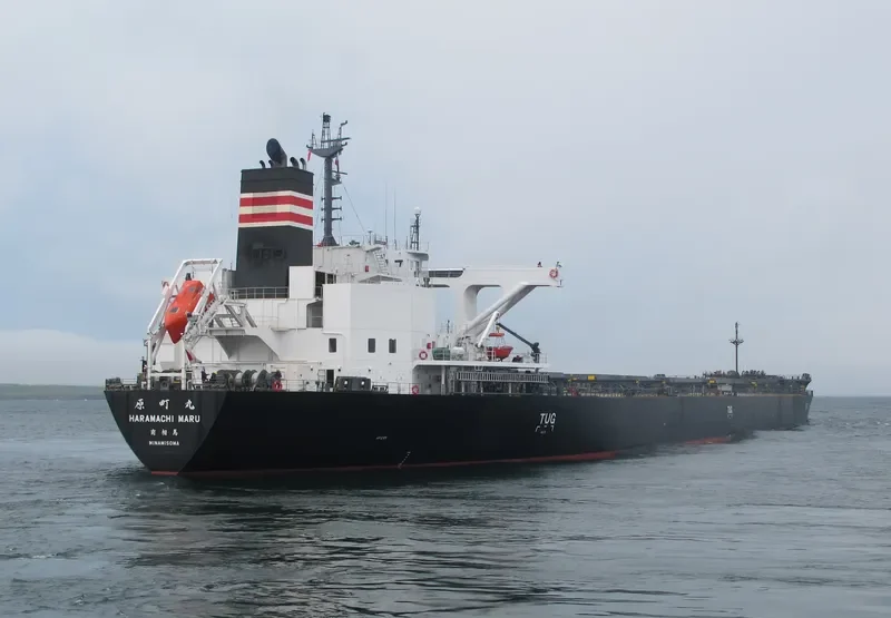 HARAMACHI MARU Bulk Carrier IMO 9658991 photo 8