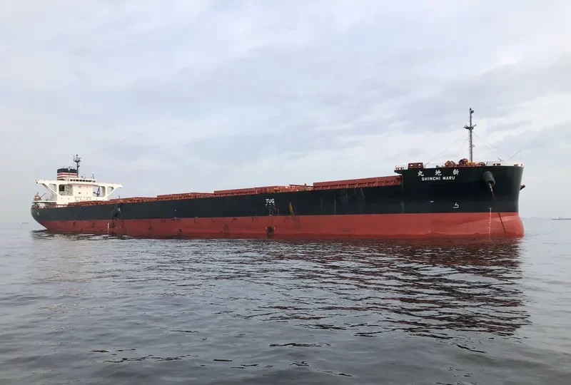 SHINCHI MARU Bulk Carrier IMO 9659000 photo 2