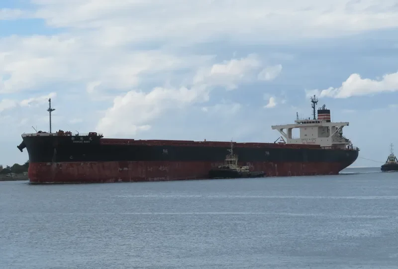 SHINCHI MARU Bulk Carrier IMO 9659000 photo 3