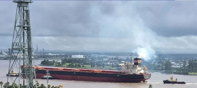 SHINCHI MARU Bulk Carrier IMO 9659000 photo 5