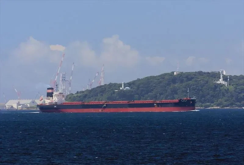 SHINCHI MARU Bulk Carrier IMO 9659000 photo 6
