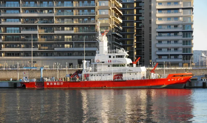 MIYAKODORI General Cargo IMO 9659036 photo 3