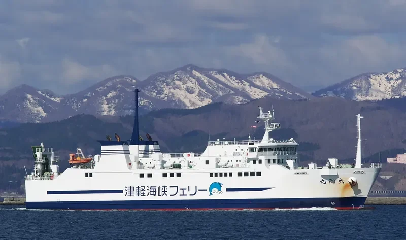 DAIKAN MARU Ro-Ro IMO 9659141 photo 2