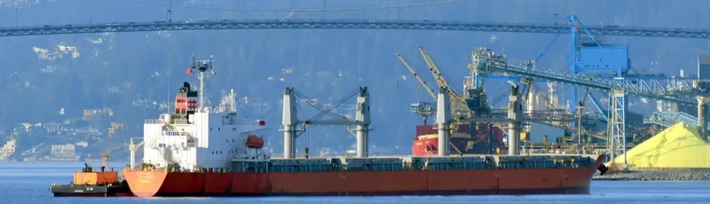 KEN VOYAGER Bulk Carrier IMO 9659191