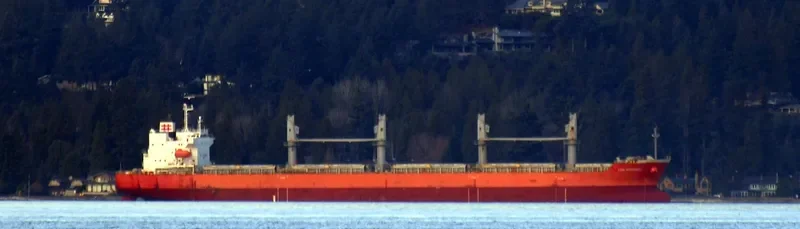 KEN VOYAGER Bulk Carrier IMO 9659191 photo 2