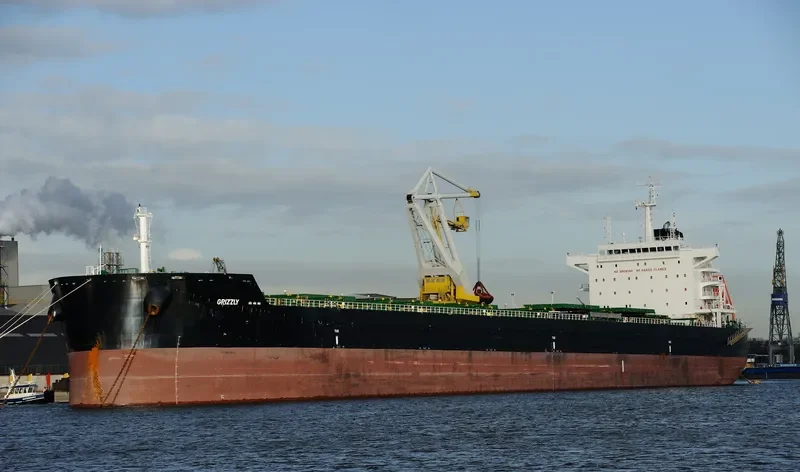 GRIZZLY Bulk Carrier IMO 9659232