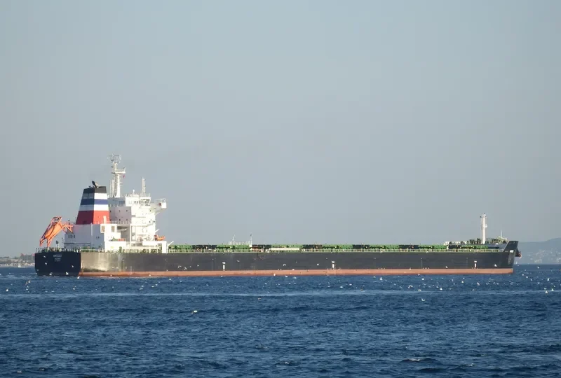 GRIZZLY Bulk Carrier IMO 9659232 photo 2