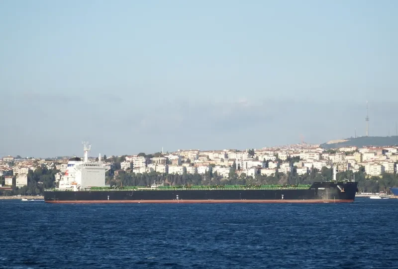 GRIZZLY Bulk Carrier IMO 9659232 photo 3