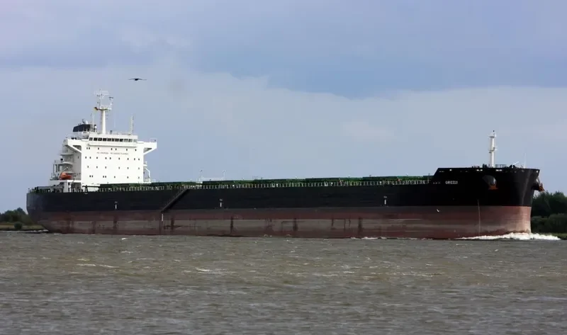 GRIZZLY Bulk Carrier IMO 9659232 photo 6