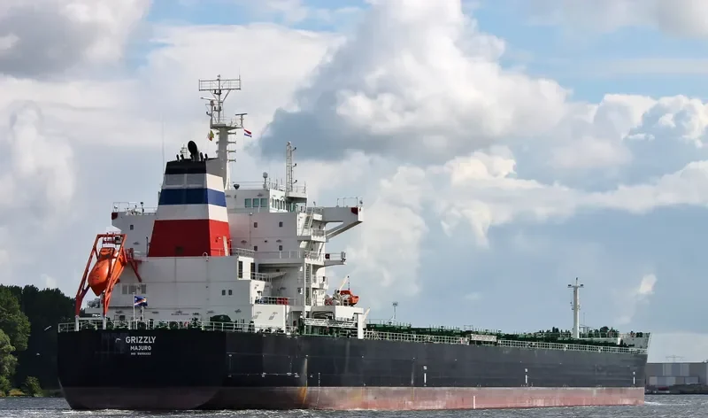 GRIZZLY Bulk Carrier IMO 9659232 photo 8