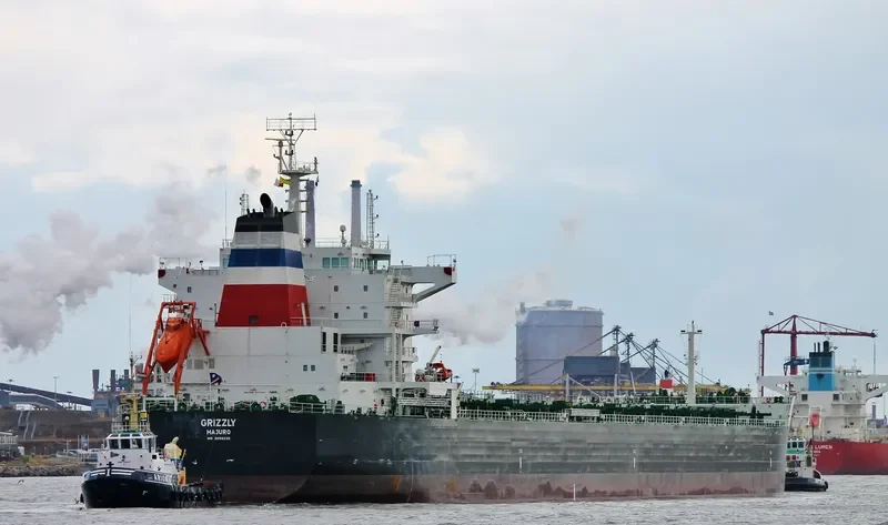 GRIZZLY Bulk Carrier IMO 9659232 photo 10