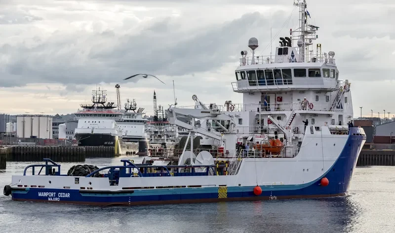 MAINPORT CEDAR General Cargo IMO 9659323 photo 9