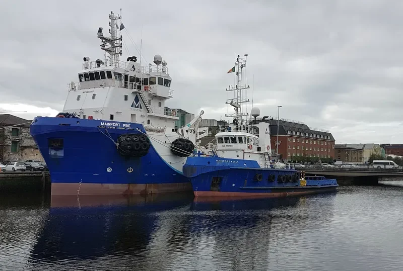 MAINPORT PINE General Cargo IMO 9659335 photo 2
