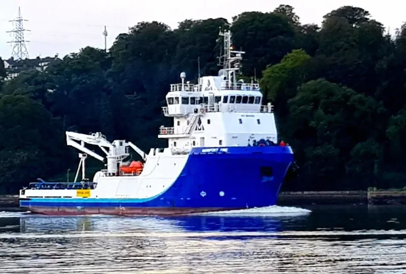 MAINPORT PINE General Cargo IMO 9659335 photo 3