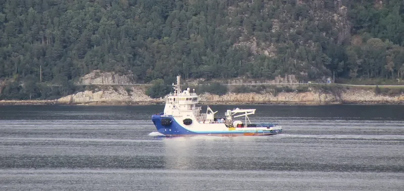 MAINPORT PINE General Cargo IMO 9659335 photo 5