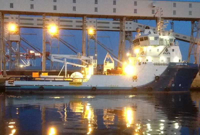 MAINPORT PINE General Cargo IMO 9659335 photo 6