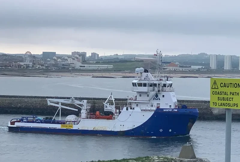 MAINPORT PINE General Cargo IMO 9659335 photo 9