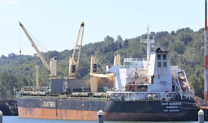 EAST BANGKOK Bulk Carrier IMO 9659490 photo 6