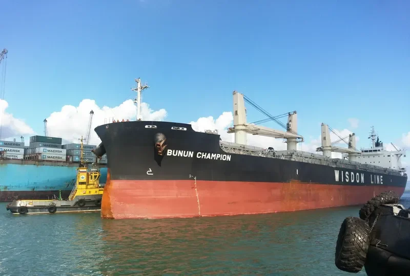 BUNUN CHAMPION Bulk Carrier IMO 9659749