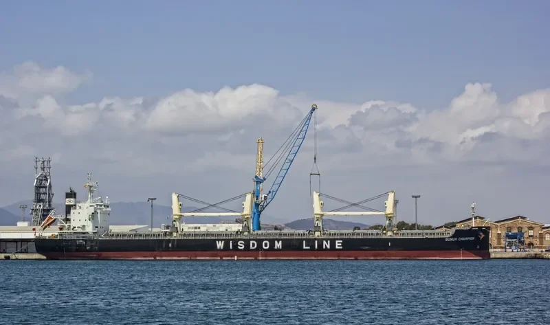 BUNUN CHAMPION Bulk Carrier IMO 9659749 photo 2