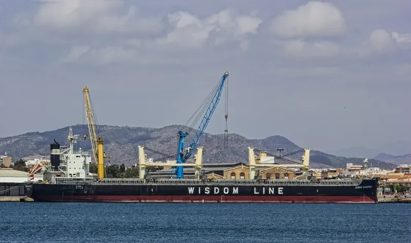 BUNUN CHAMPION Bulk Carrier IMO 9659749 photo 3