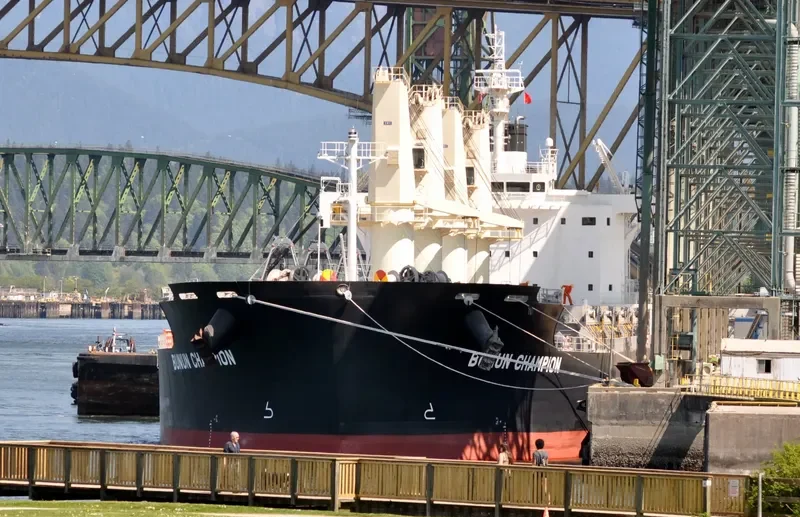 BUNUN CHAMPION Bulk Carrier IMO 9659749 photo 5