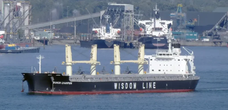 BUNUN CHAMPION Bulk Carrier IMO 9659749 photo 6