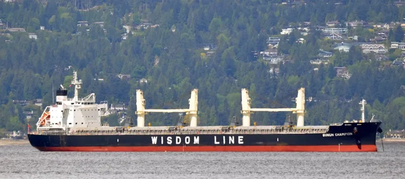 BUNUN CHAMPION Bulk Carrier IMO 9659749 photo 7