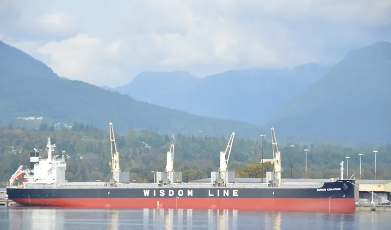 BUNUN CHAMPION Bulk Carrier IMO 9659749 photo 9