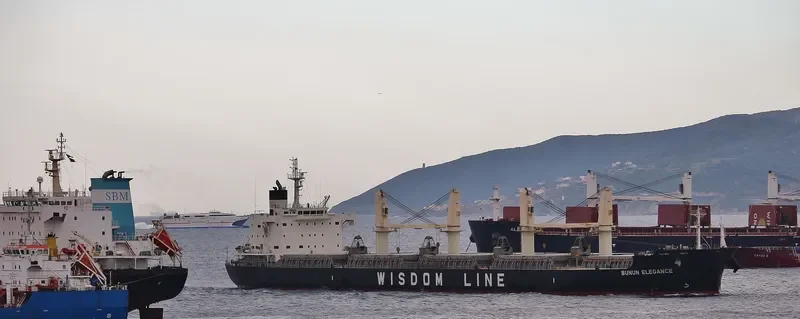 BUNUN ELEGANCE Bulk Carrier IMO 9659751 photo 2