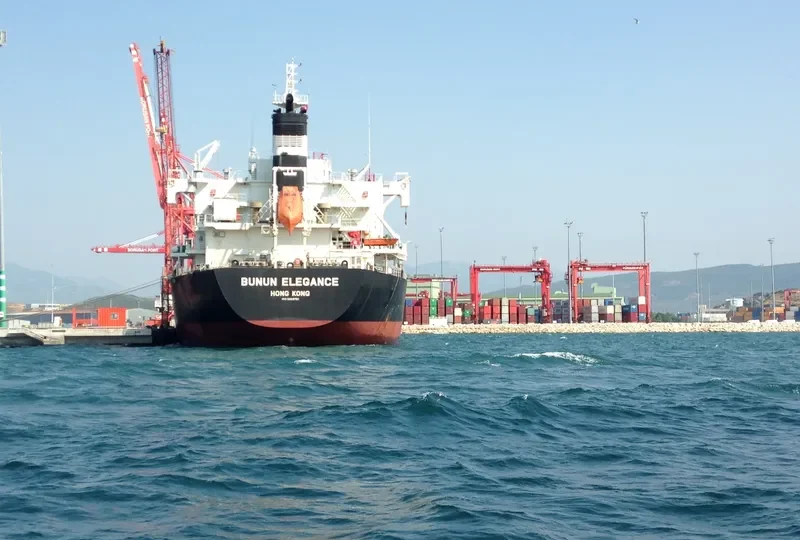 BUNUN ELEGANCE Bulk Carrier IMO 9659751 photo 3