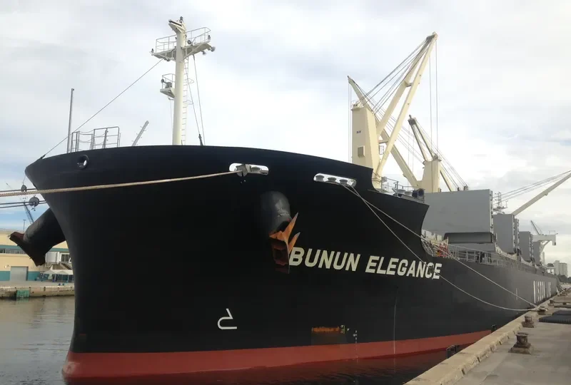 BUNUN ELEGANCE Bulk Carrier IMO 9659751 photo 9