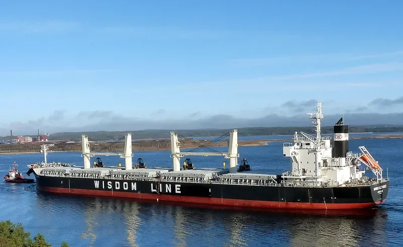 BUNUN ELEGANCE Bulk Carrier IMO 9659751 photo 10