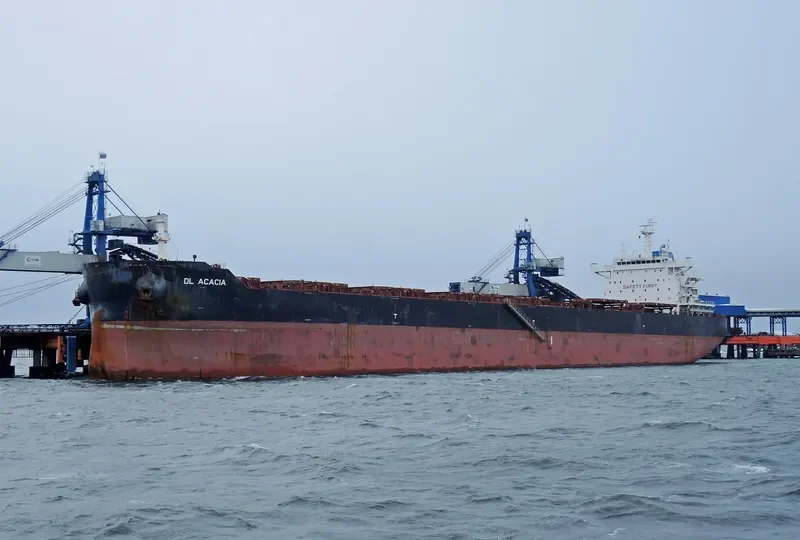DL ACACIA Bulk Carrier IMO 9659763
