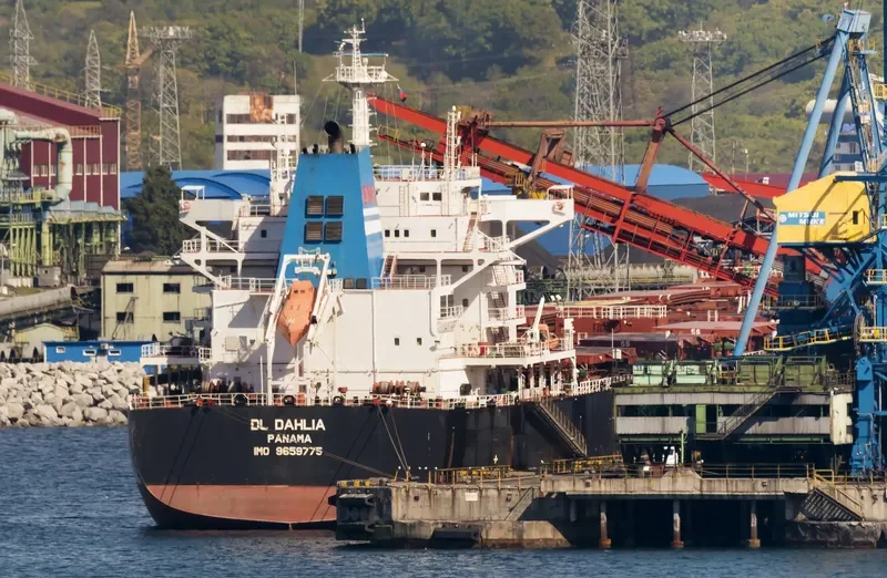 DL DAHLIA Bulk Carrier IMO 9659775